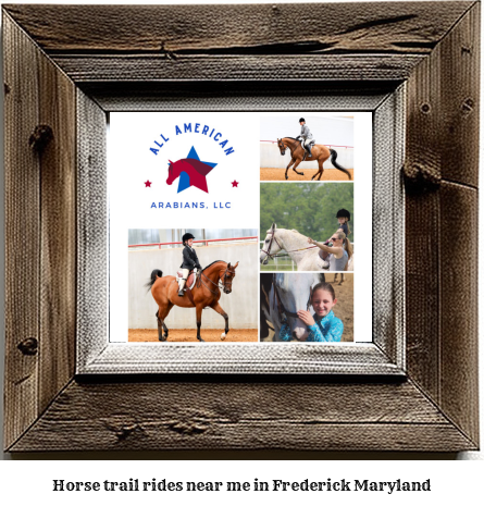 horse trail rides near me in Frederick, Maryland